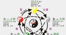 灵魂与魄的神秘联系---黄帝内经——五脏藏神论
