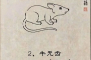 十二生肖的短板！