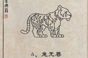 十二生肖的短板！