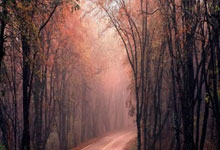 C盘哪些文件可以删除