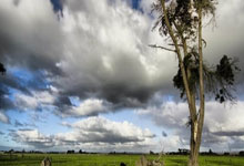 易经的底层逻辑被无数